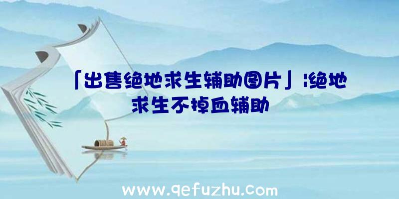 「出售绝地求生辅助图片」|绝地求生不掉血辅助